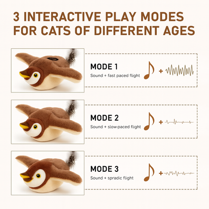 Flying Bird Cat Toy